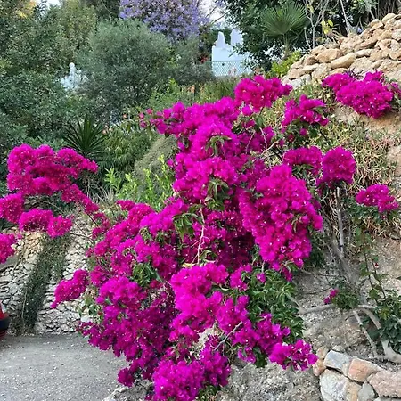 La Casa Turquesa * Frigiliana