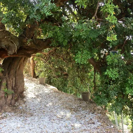 Сasa de vacaciones La Casa Turquesa-original Frigiliana