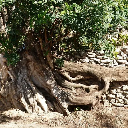 La Casa Turquesa *